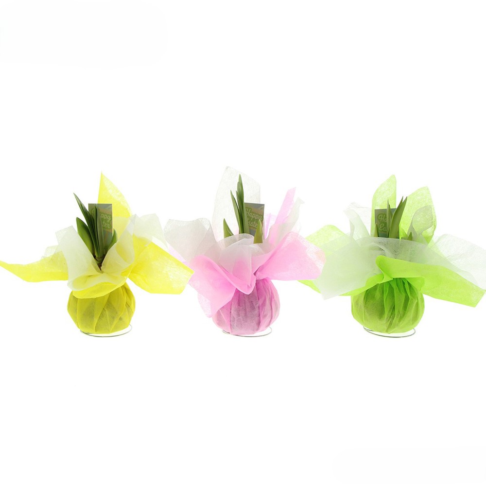 No Water Flowers® - Wrapz Easter mix - kopen of bedrukken