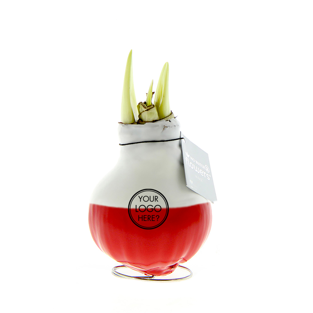 No Water Flowers® - Dipz straight - voor bedrijven en relatiegeschenken