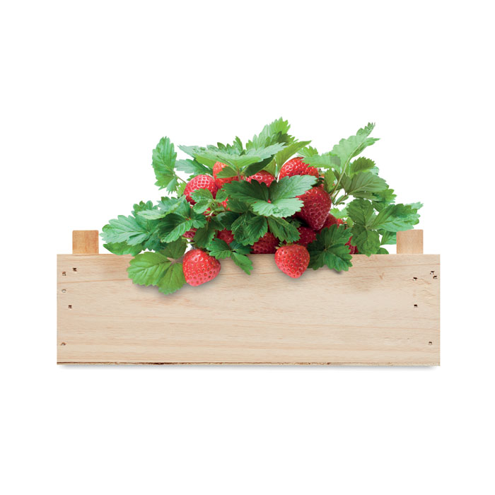 STRAWBERRY - Aardbeienpakket in houten krat