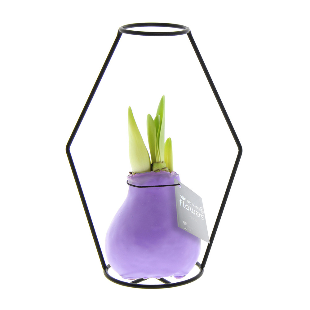 No Water Flowers® - Formz modern - kopen of bedrukken - Pastel paars