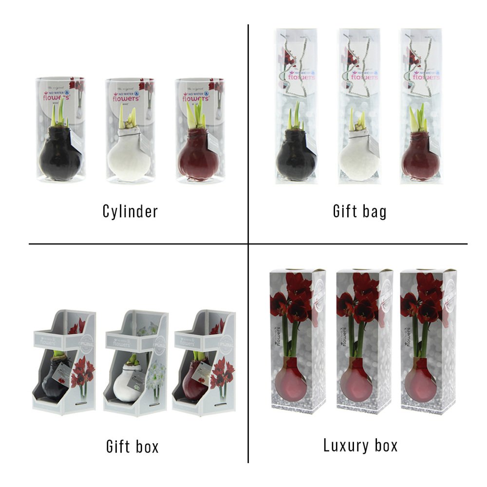 No Water Flowers® - Jingle Bellz, In luxury box, Bordeaux
