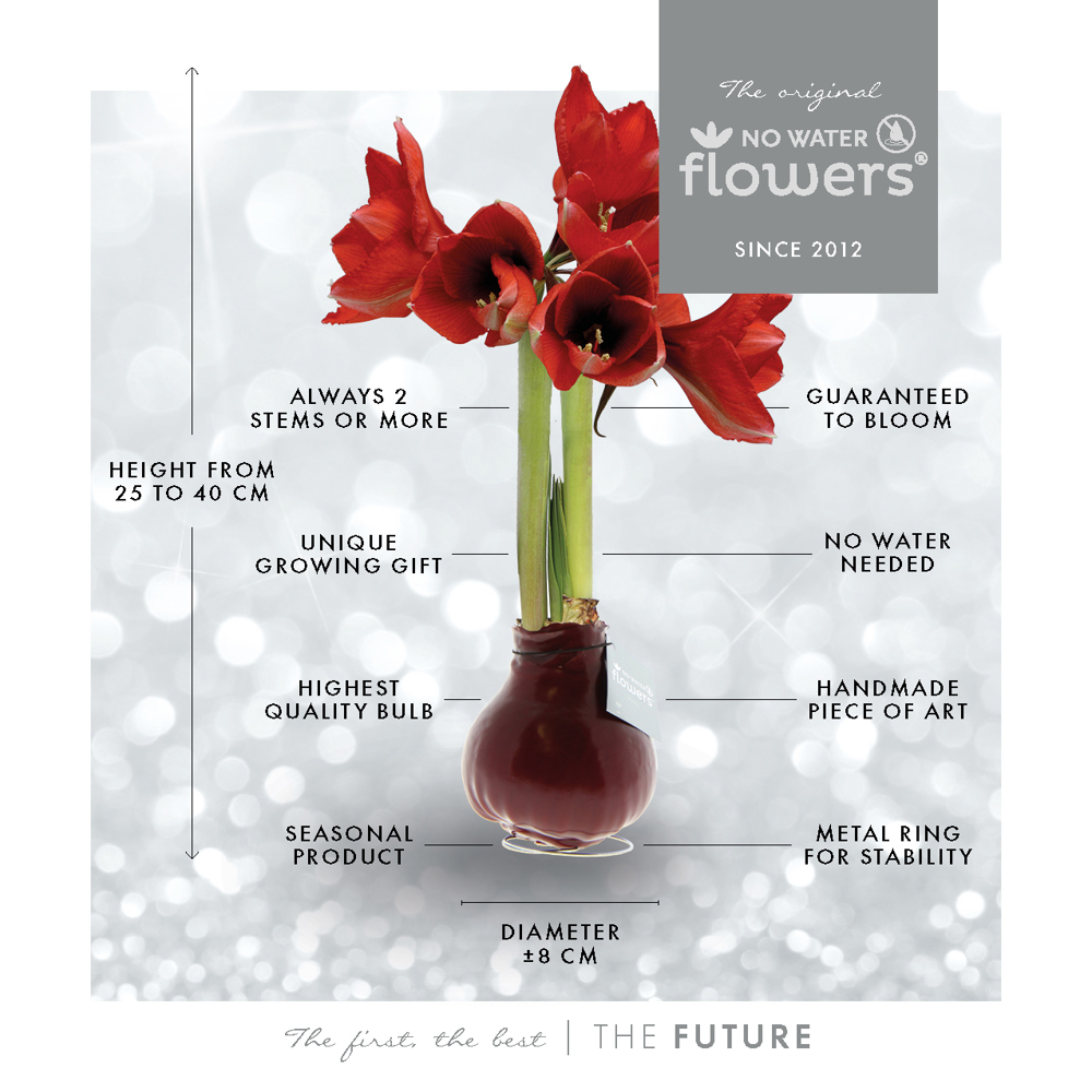 No Water Flowers® - Formz industrial, In giftbag, Koper