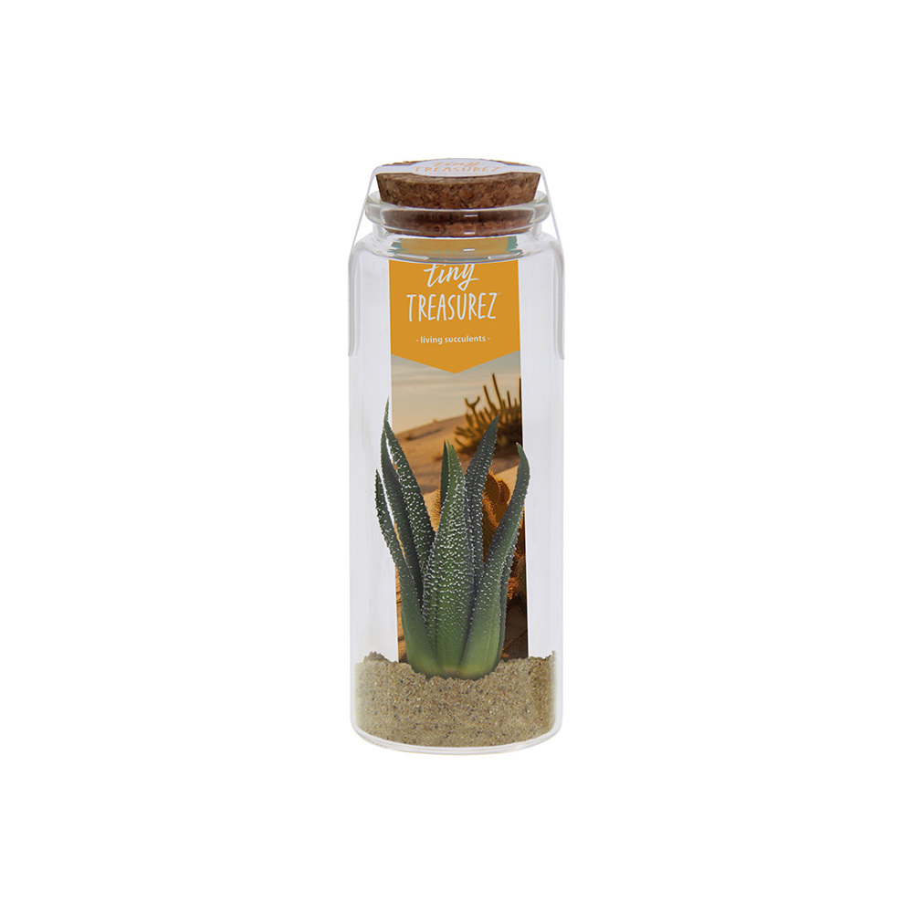 Tiny Treasurez® - Message in a bottle large - voor bedrijven en relatiegeschenken