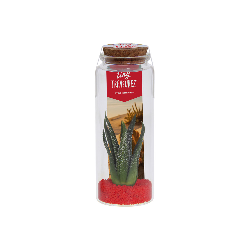 Tiny Treasurez® - Message in a bottle large - voor bedrijven en relatiegeschenken - rood