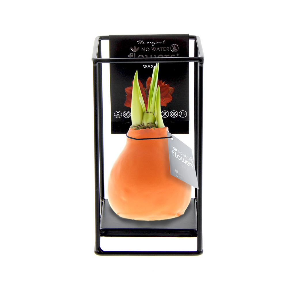 No Water Flowers® - Formz industrial - kopen of bedrukken - Pastel oranje