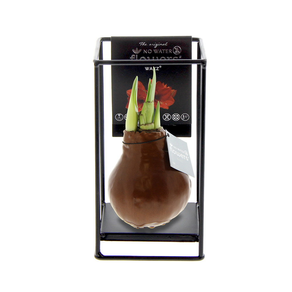 No Water Flowers® - Formz industrial - kopen of bedrukken - koper