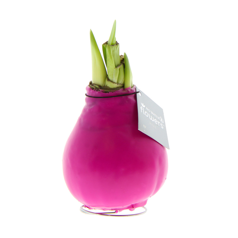 No Water Flowers® - Waxz® Colours - kopen of bedrukken - roze