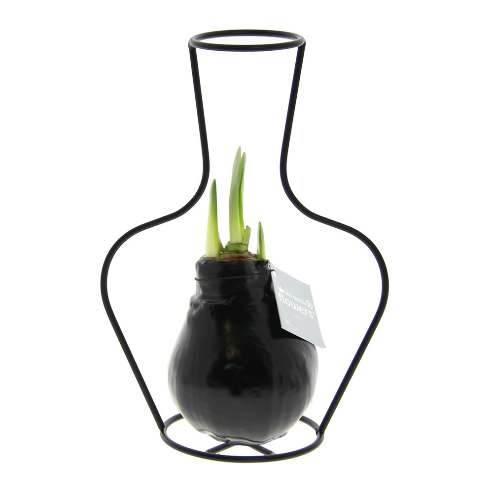 No Water Flowers® - Formz classic - kopen of bedrukken - zwart