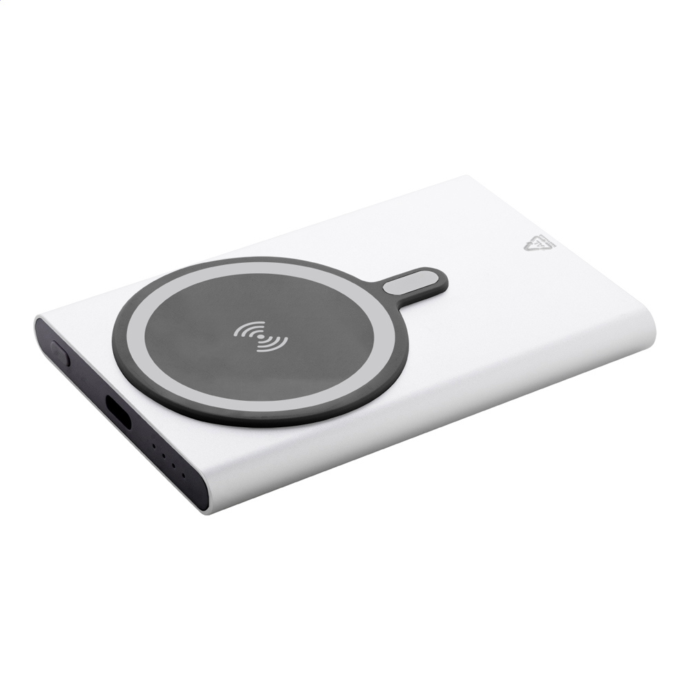 RaluStick - powerbank - bedrukt of onbedrukt verkrijgbaar - zilver