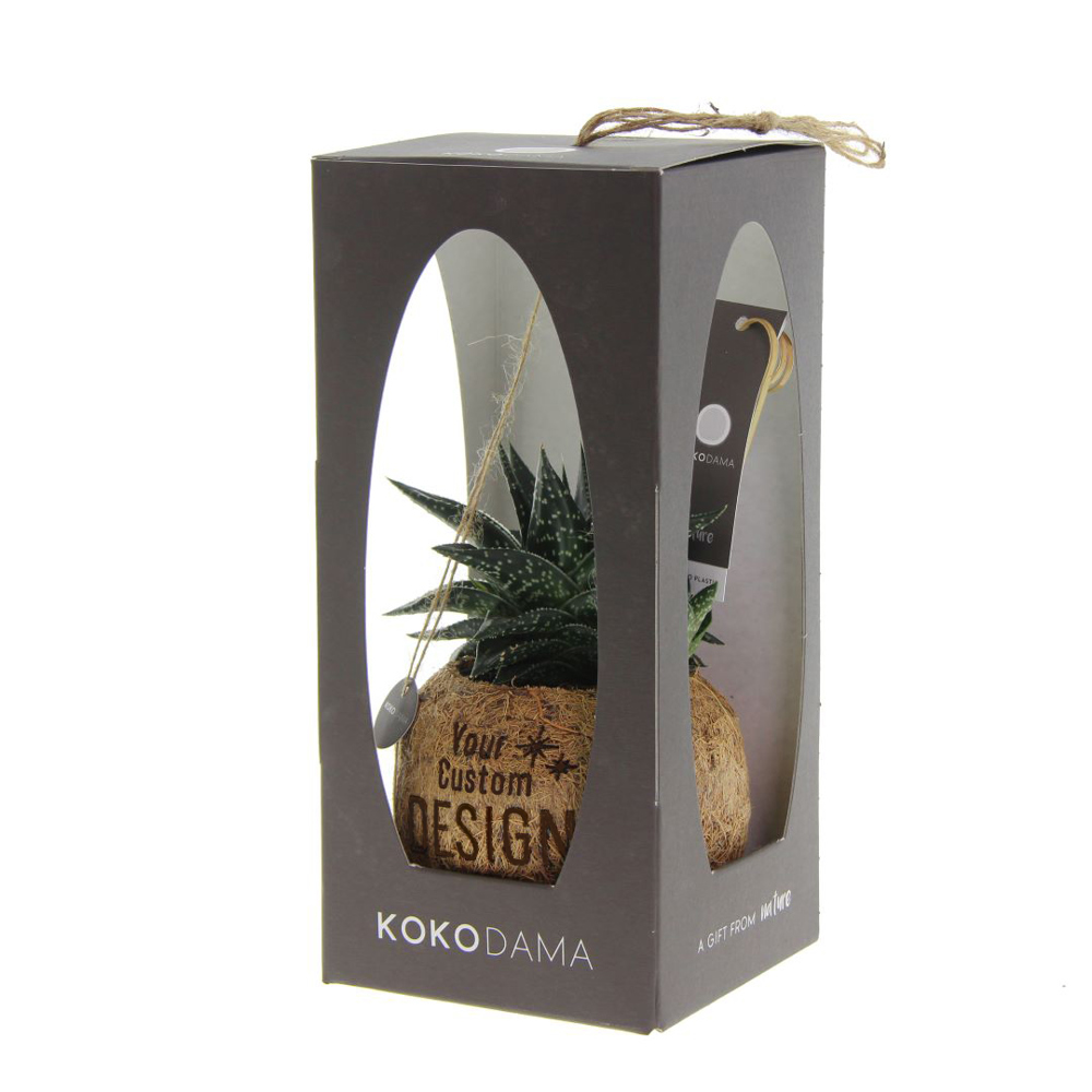 Kokodama® - Easy care mix (S), Zonder verpakking