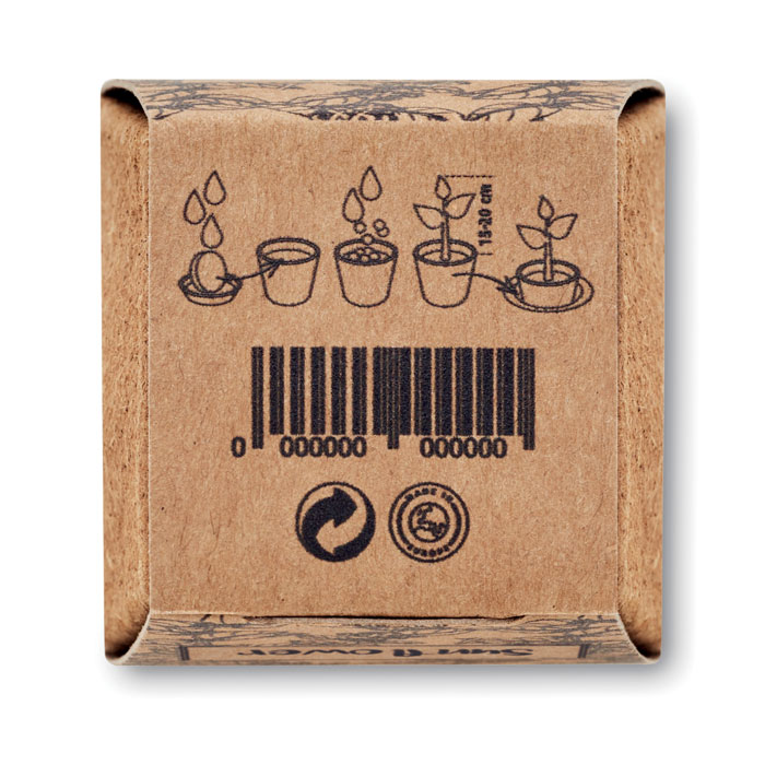 SUNFLOWER KIT - Zonnebloem kweekset