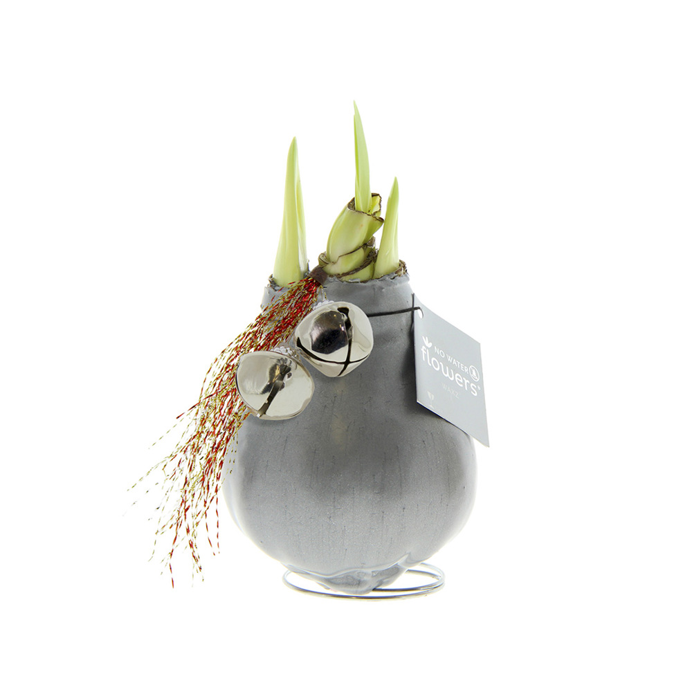 No Water Flowers® - Jingle Bellz - voor bedrijven en relatiegeschenken - zilver