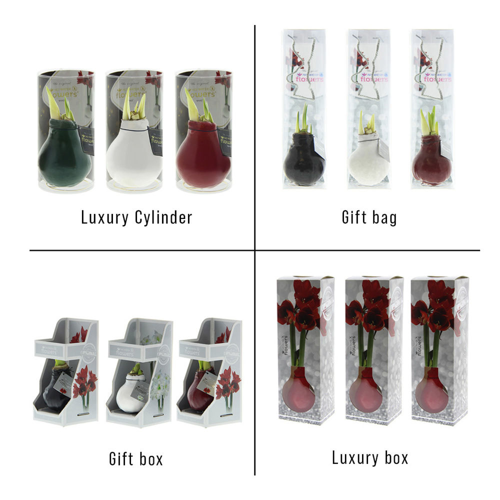 No Water Flowers® - Printz Wonderful Xmas mix, Zonder verpakking