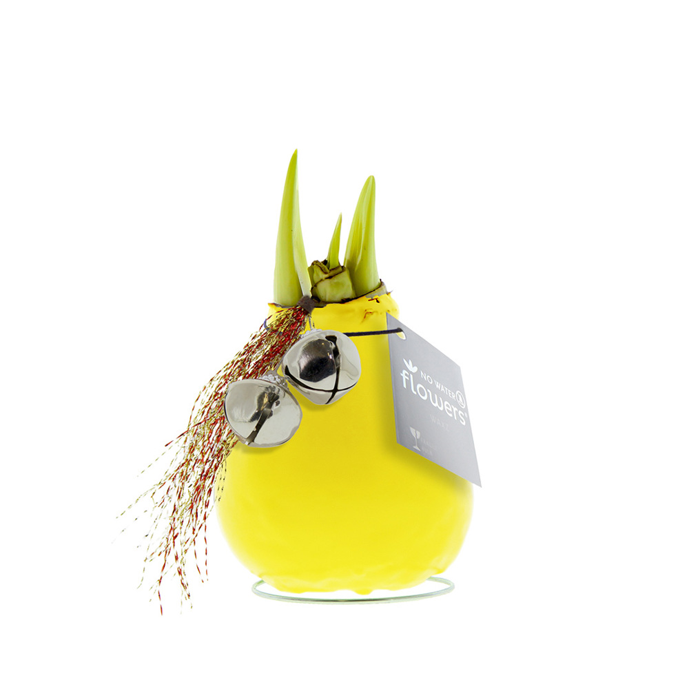 No Water Flowers® - Jingle Bellz - voor bedrijven en relatiegeschenken - geel