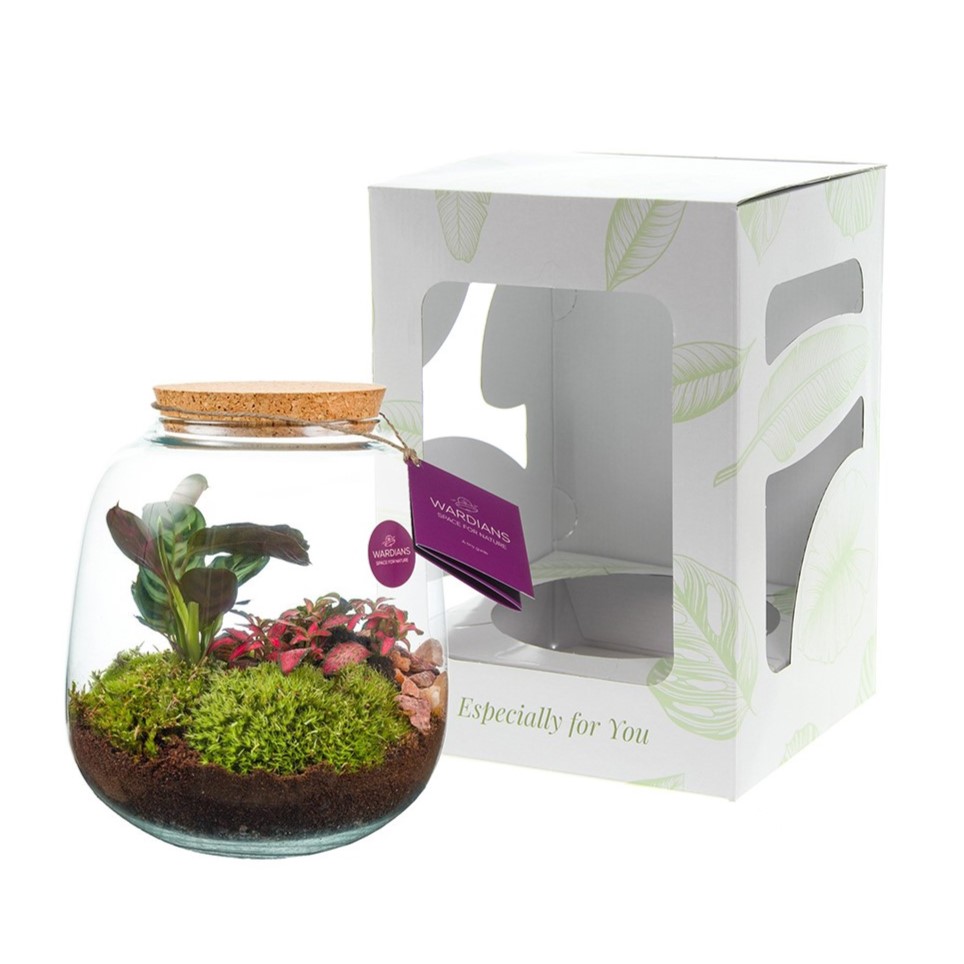 Wardians® Ecosystem - Sphere medium - met logo of onbedrukt bestellen