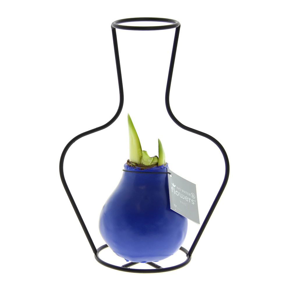 No Water Flowers® - Formz classic - kopen of bedrukken - blauw