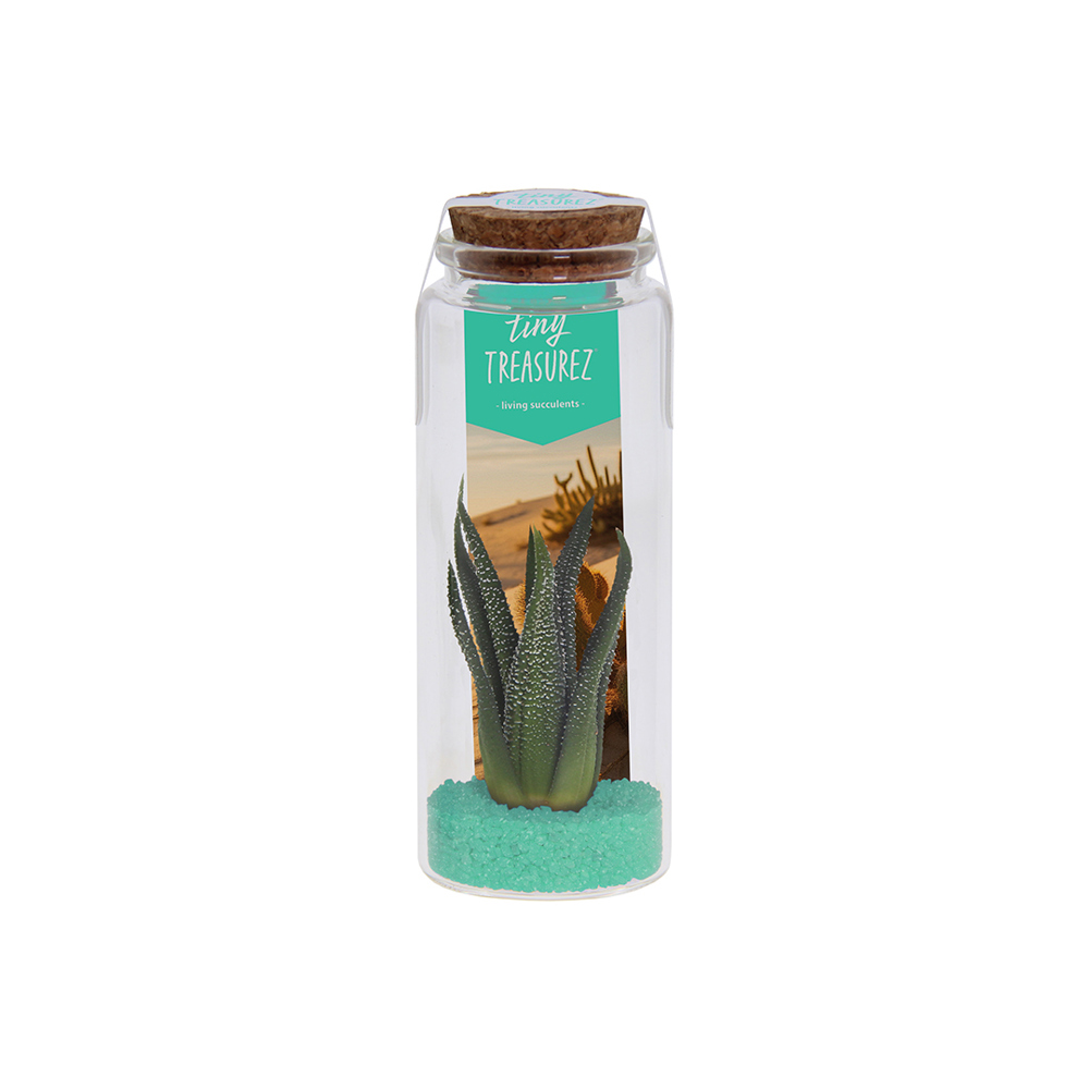 Tiny Treasurez® - Message in a bottle large - voor bedrijven en relatiegeschenken - turquoise