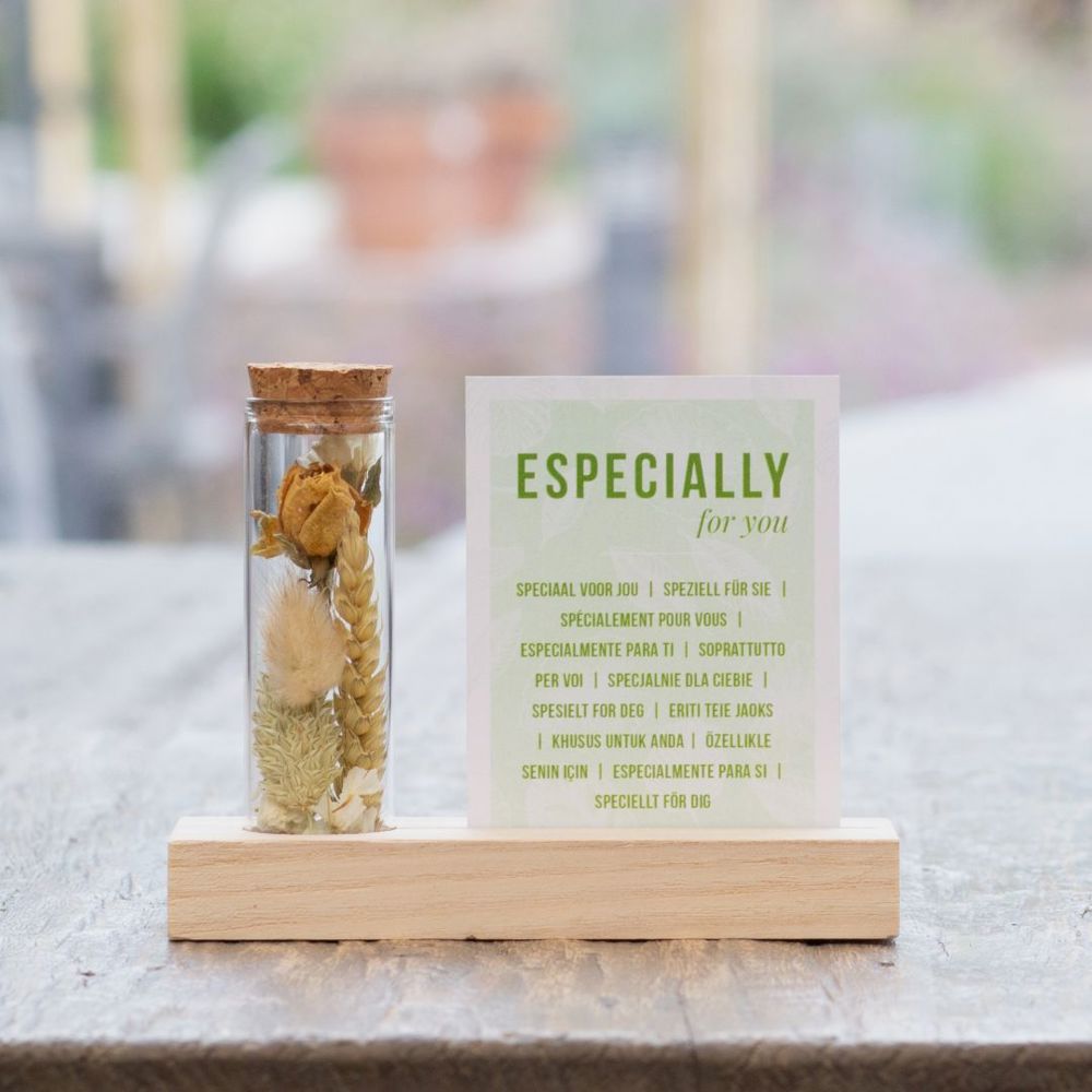 Dried Flowers - Cardholder & tube, Natuurlijk