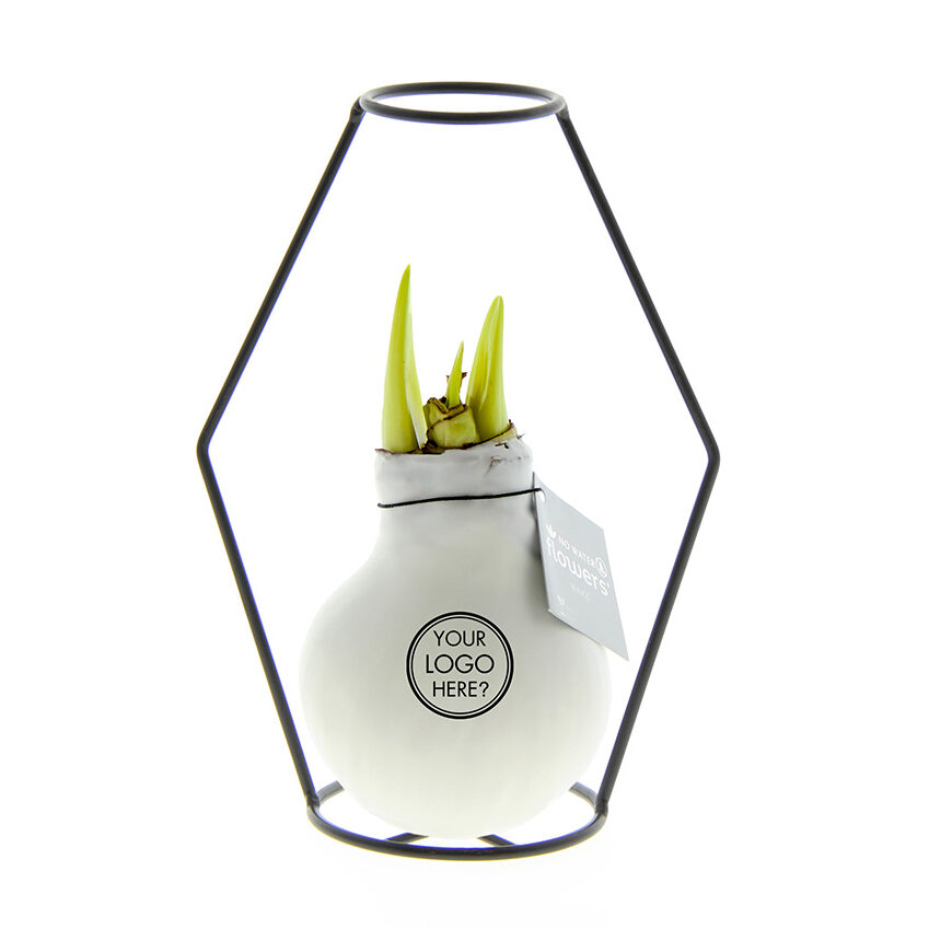No Water Flowers® - Formz modern - kopen of bedrukken
