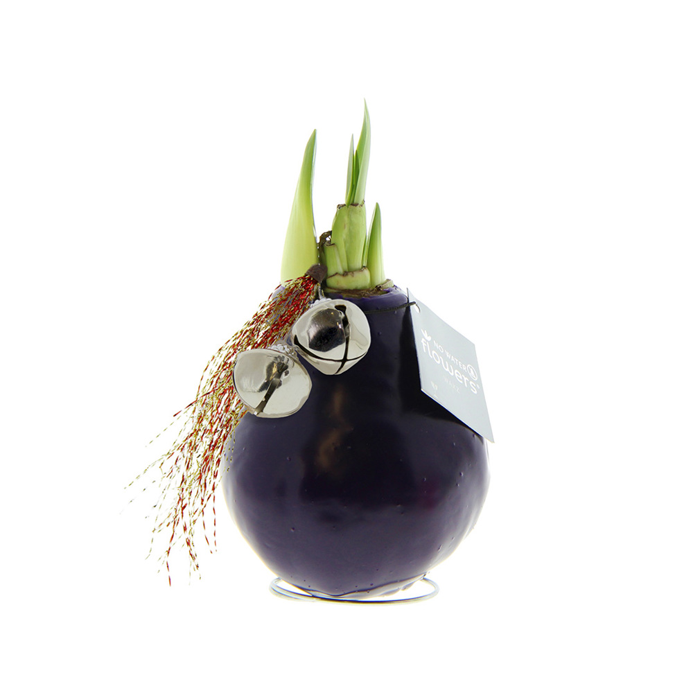 No Water Flowers® - Jingle Bellz - voor bedrijven en relatiegeschenken - paars