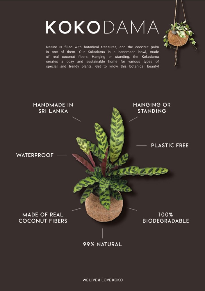 Kokodama® - Industrial easy green mix (M), Zonder verpakking
