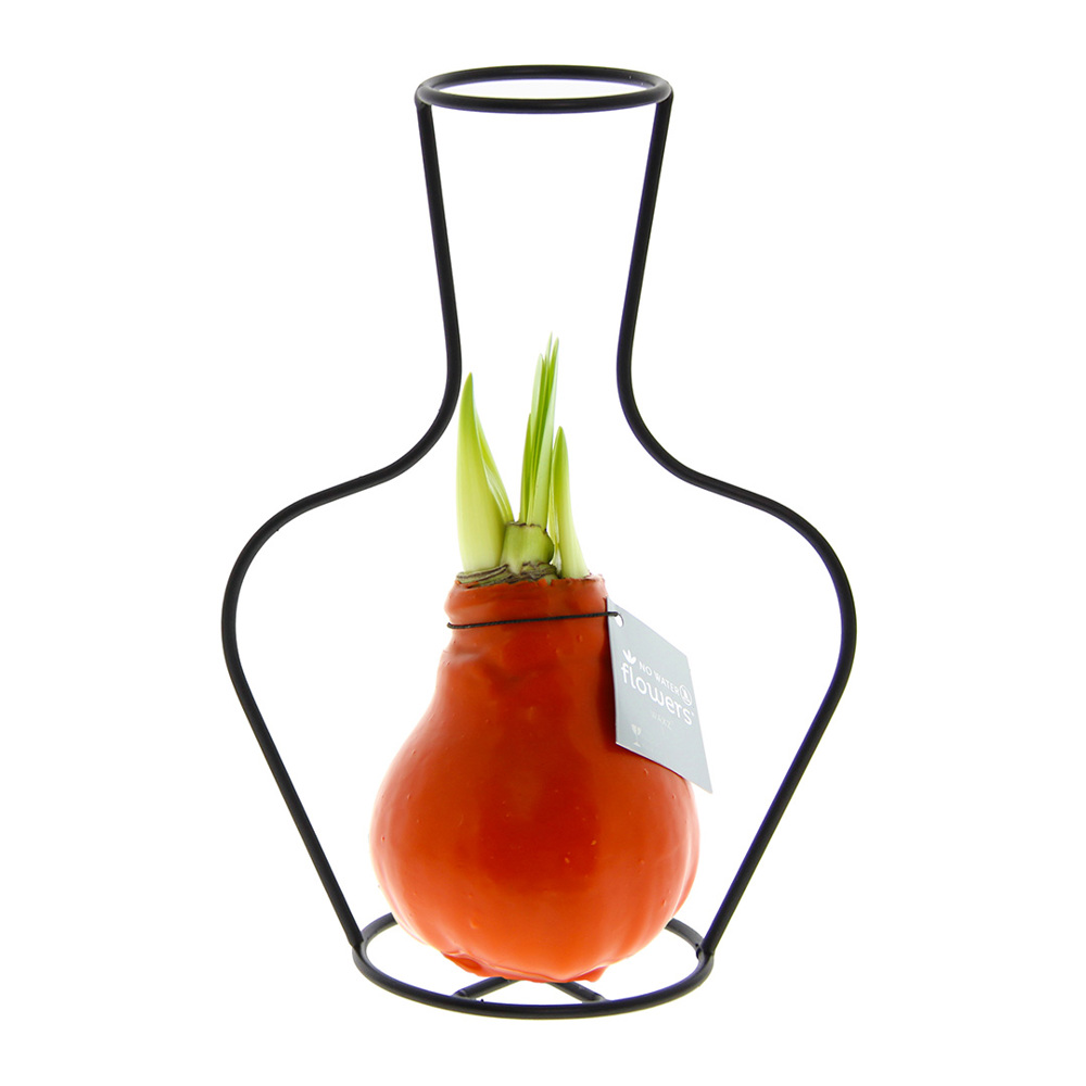 No Water Flowers® - Formz classic - kopen of bedrukken - oranje