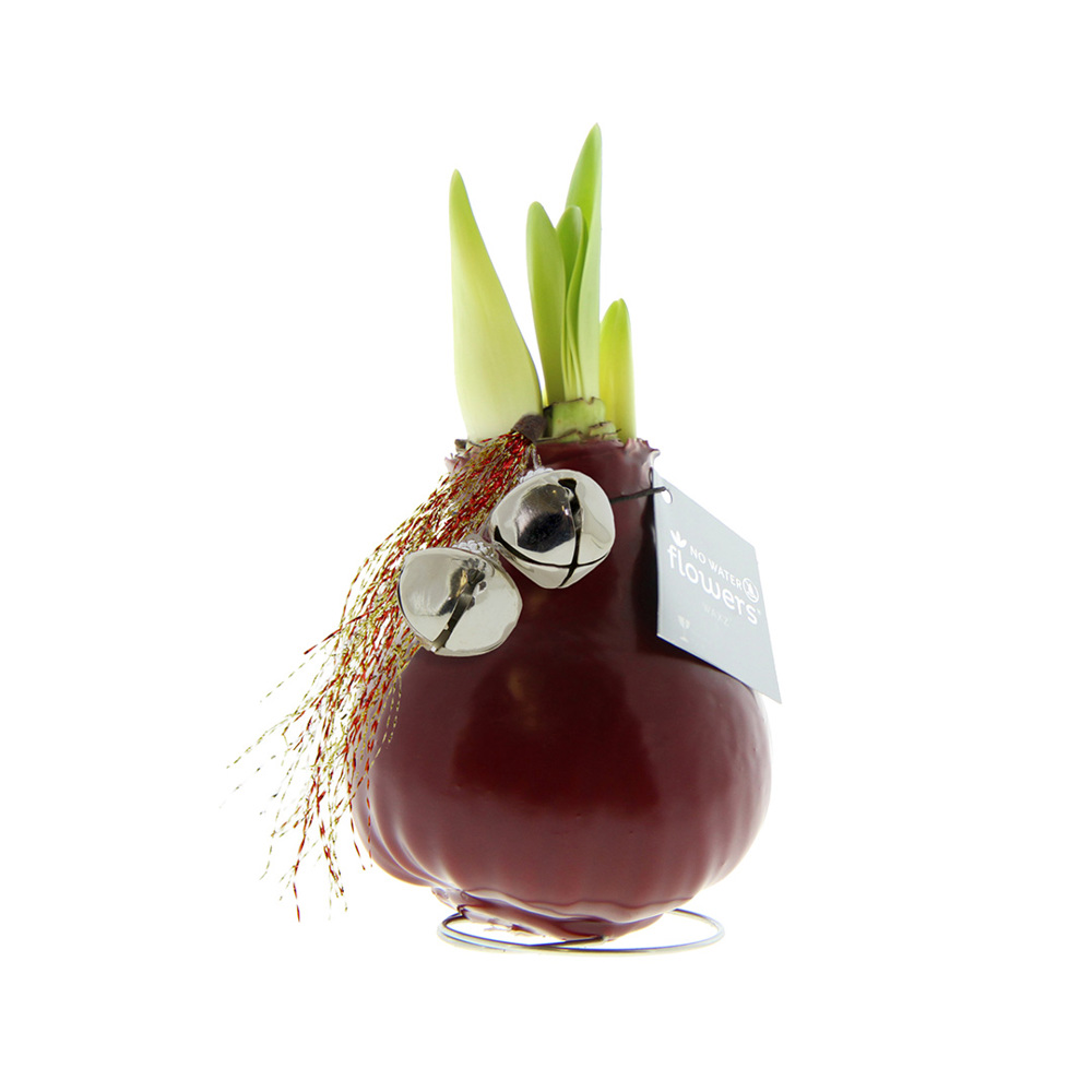 No Water Flowers® - Jingle Bellz - voor bedrijven en relatiegeschenken - bordeaux