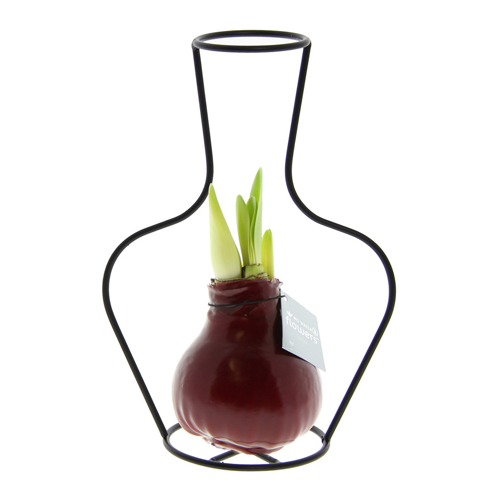 No Water Flowers® - Formz classic - kopen of bedrukken - bordeaux