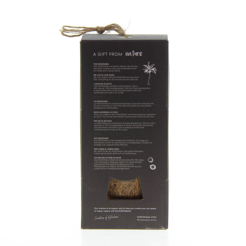 Kokodama® - Industrial easy care mix (S), Zonder verpakking