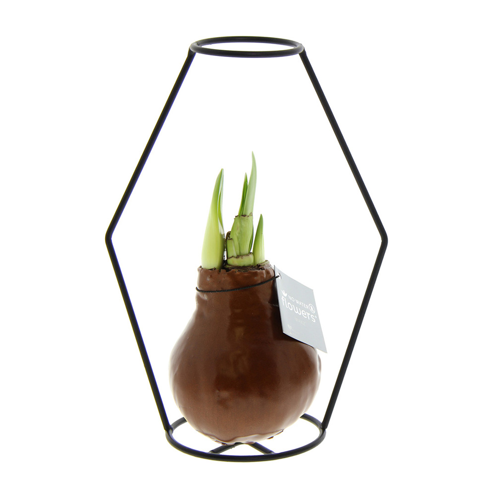 No Water Flowers® - Formz modern - kopen of bedrukken - koper