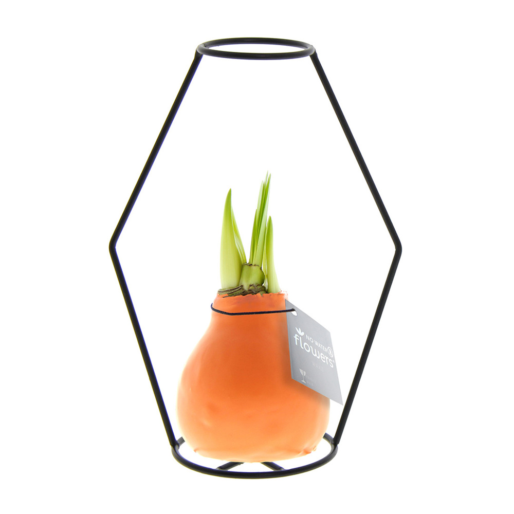 No Water Flowers® - Formz modern - kopen of bedrukken - Pastel oranje
