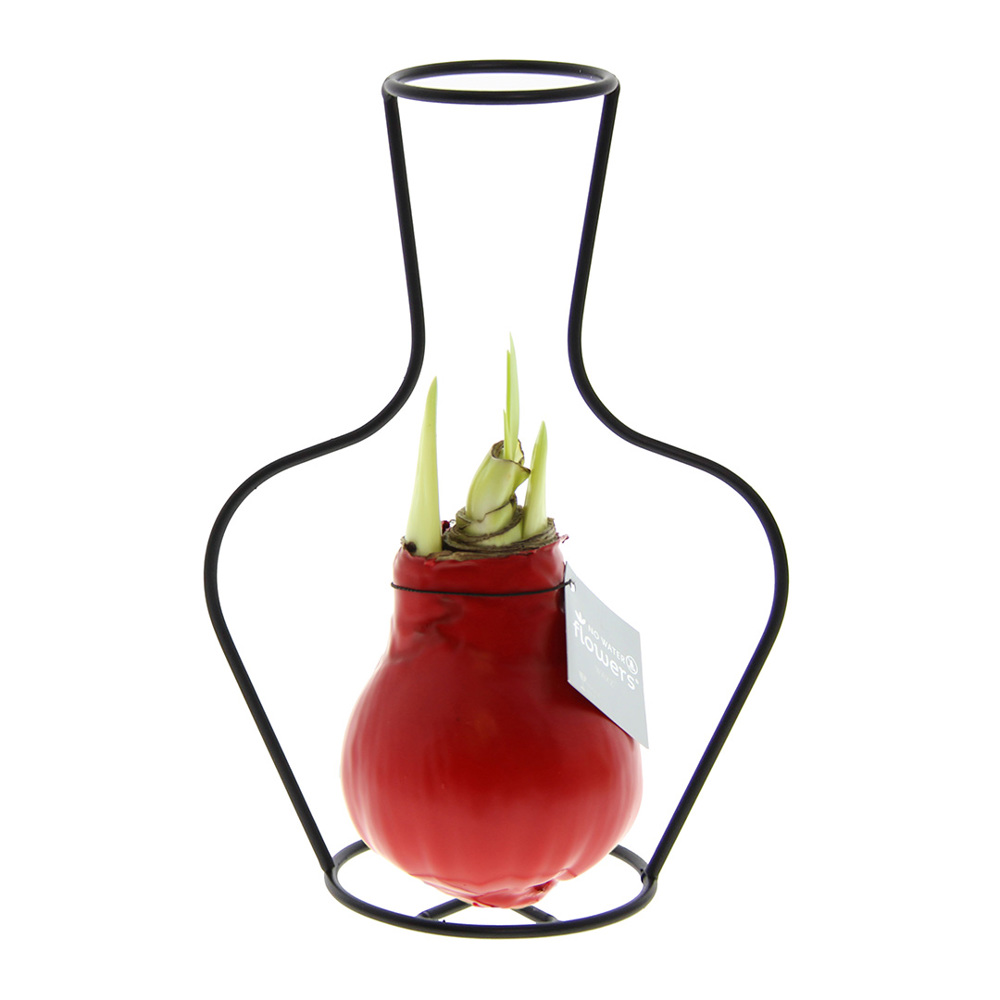No Water Flowers® - Formz classic - kopen of bedrukken - rood