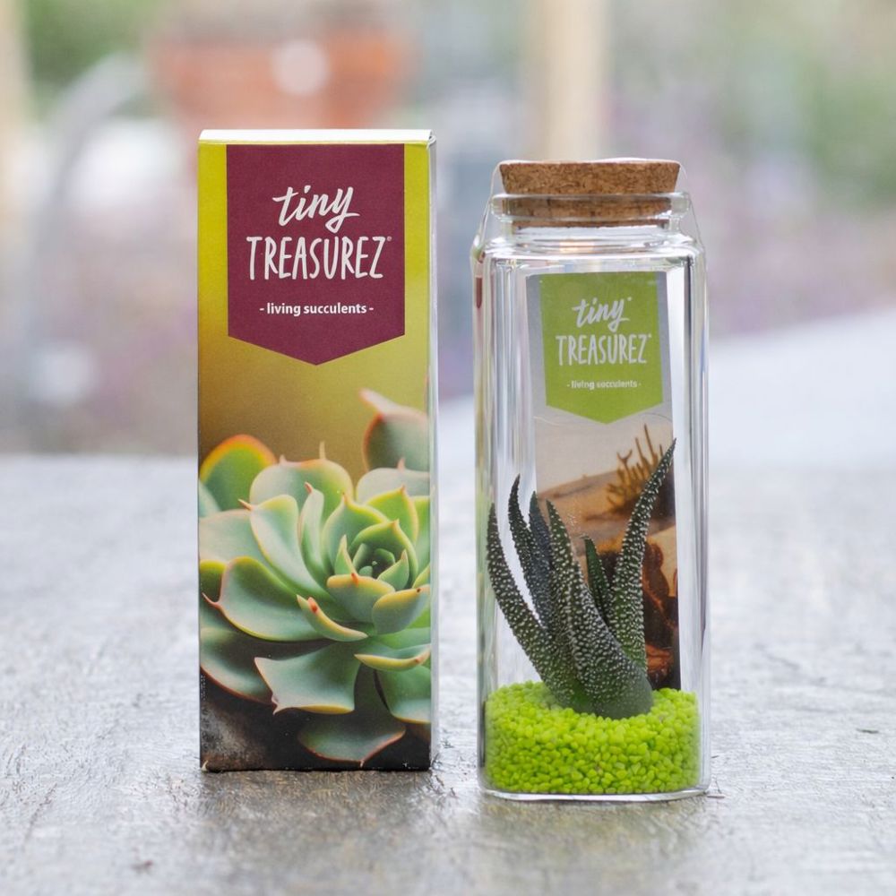 Tiny Treasurez® - Message in a bottle large, In giftbox, Natuurlijk