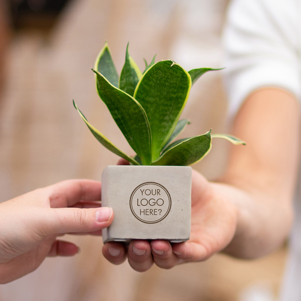 Congreet® plantpots small, Zonder verpakking