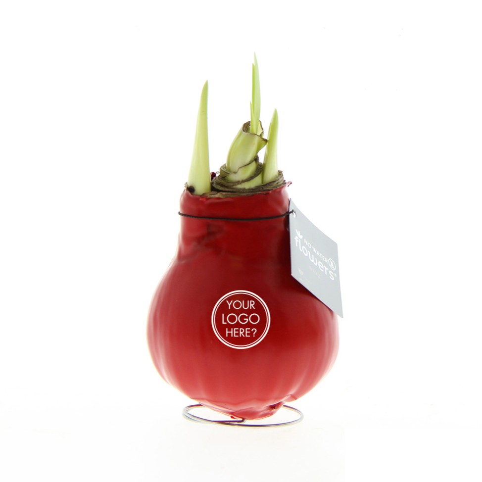 No Water Flowers® - Waxz® Colours - kopen of bedrukken