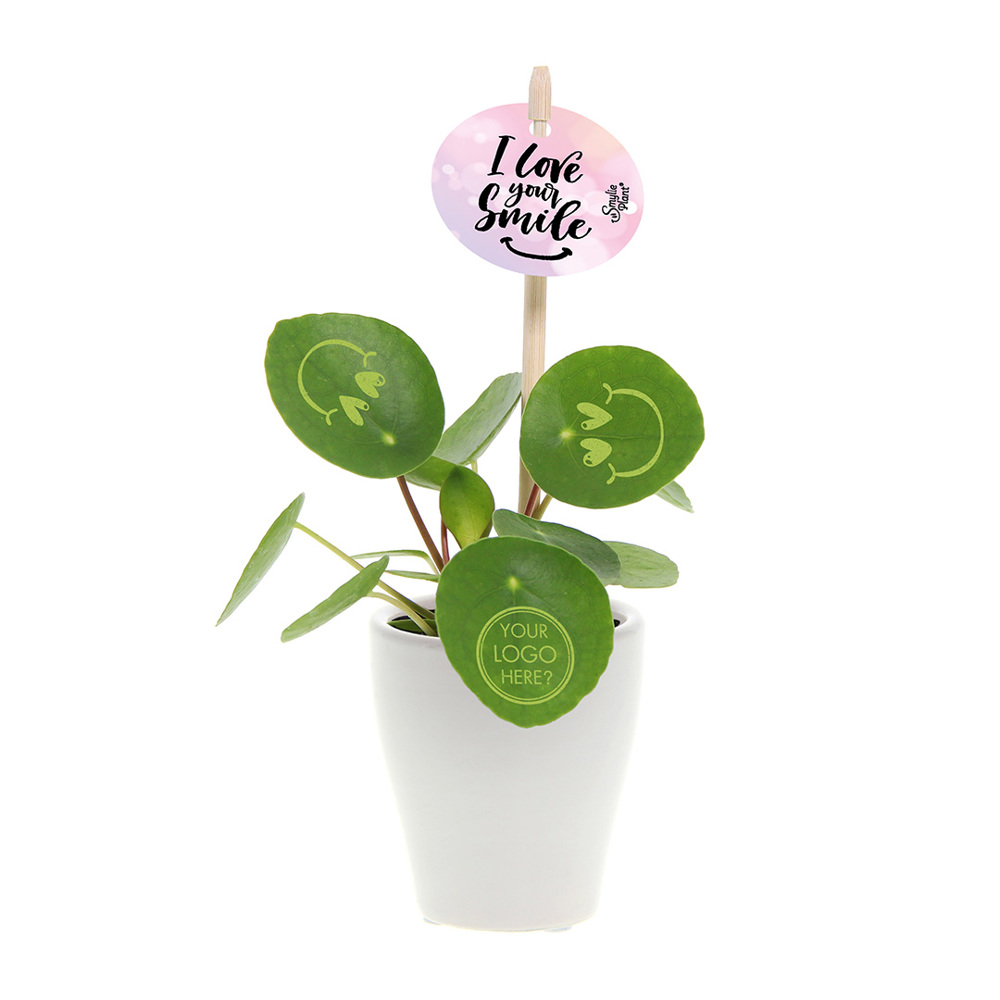 Smylieplant® - Love in keramieke pot (small), In beschermende plantensleeve