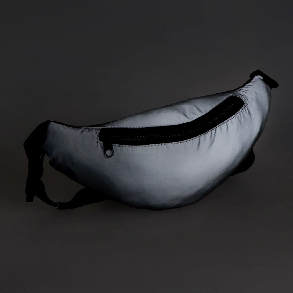 Reflective Zola Waist Bag