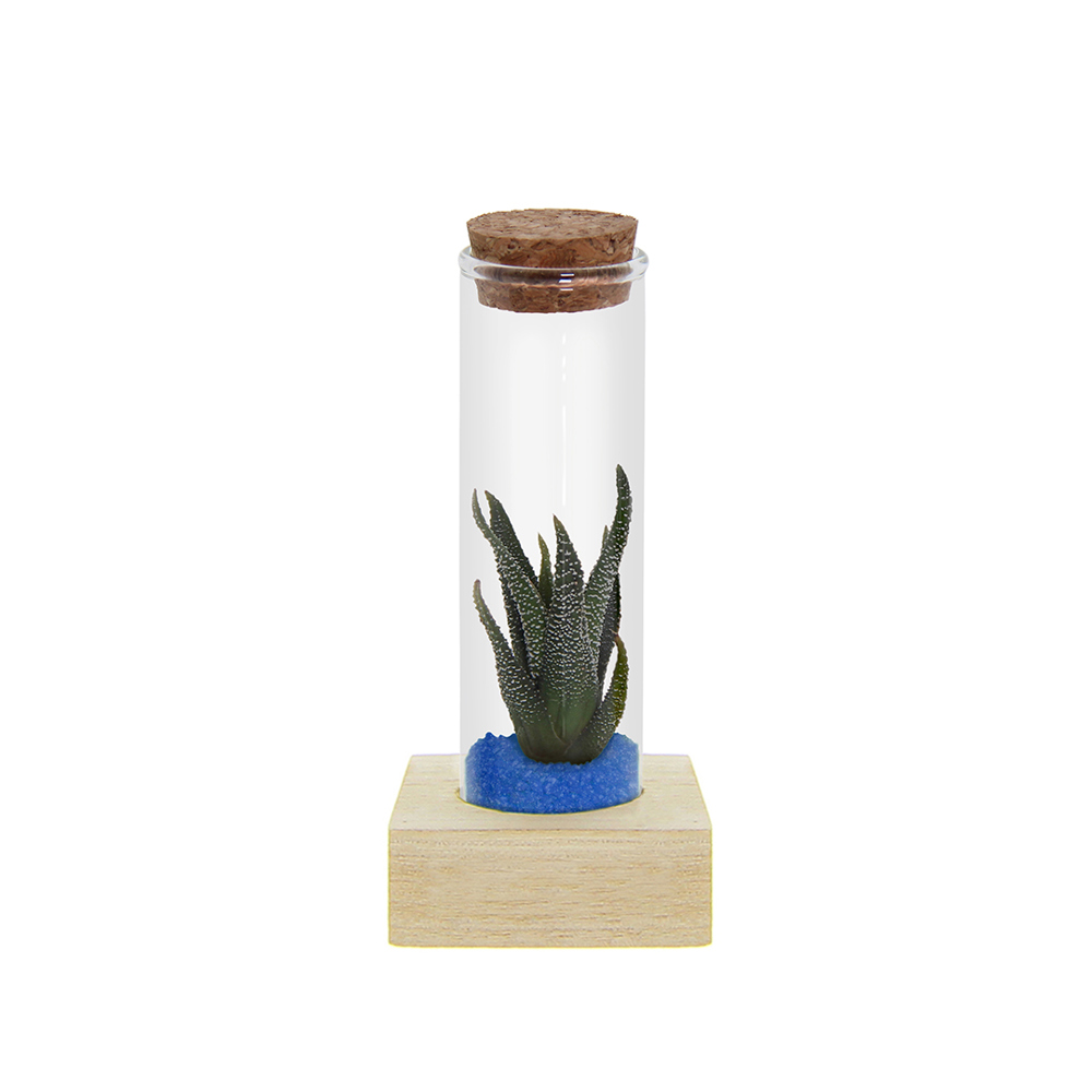 Tiny Treasurez® - Single tube & wood - met logo of onbedrukt bestellen - blauw