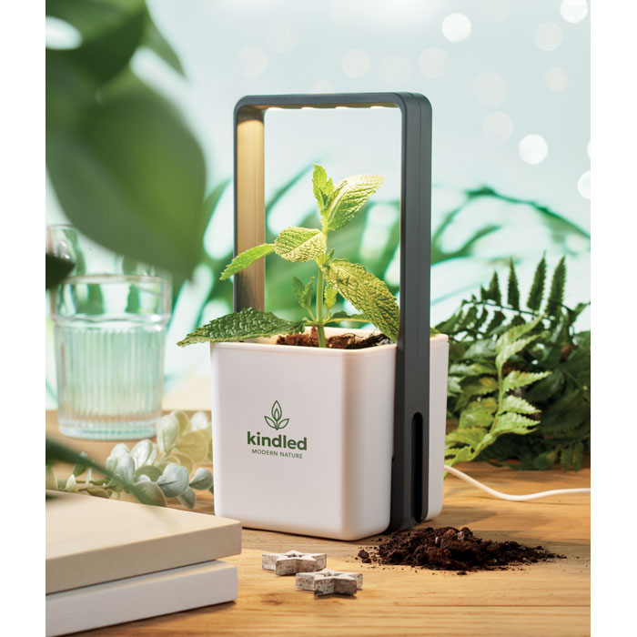 LUSHLET - Binnentuin met LED lamp