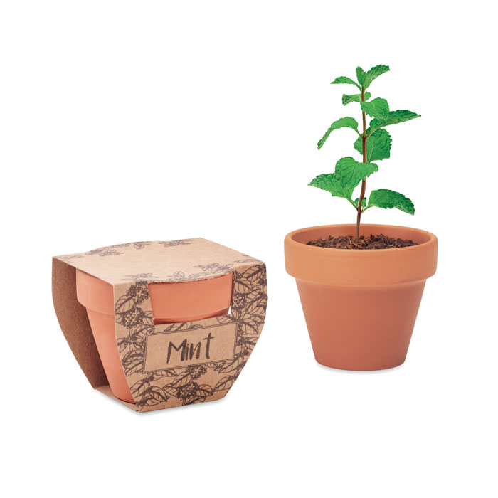MINT POT - Potje munt