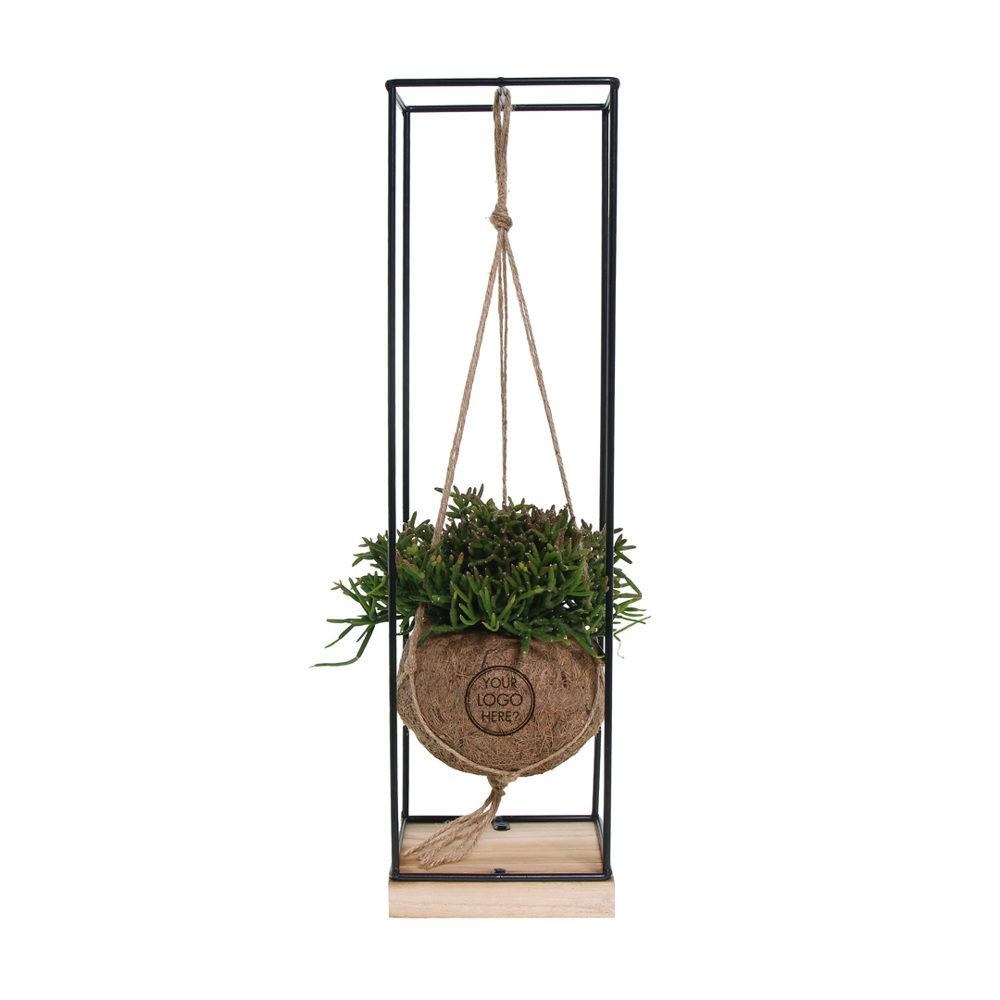 Kokodama® - Hanging easy green mix (M) - bedrukt of onbedrukt verkrijgbaar
