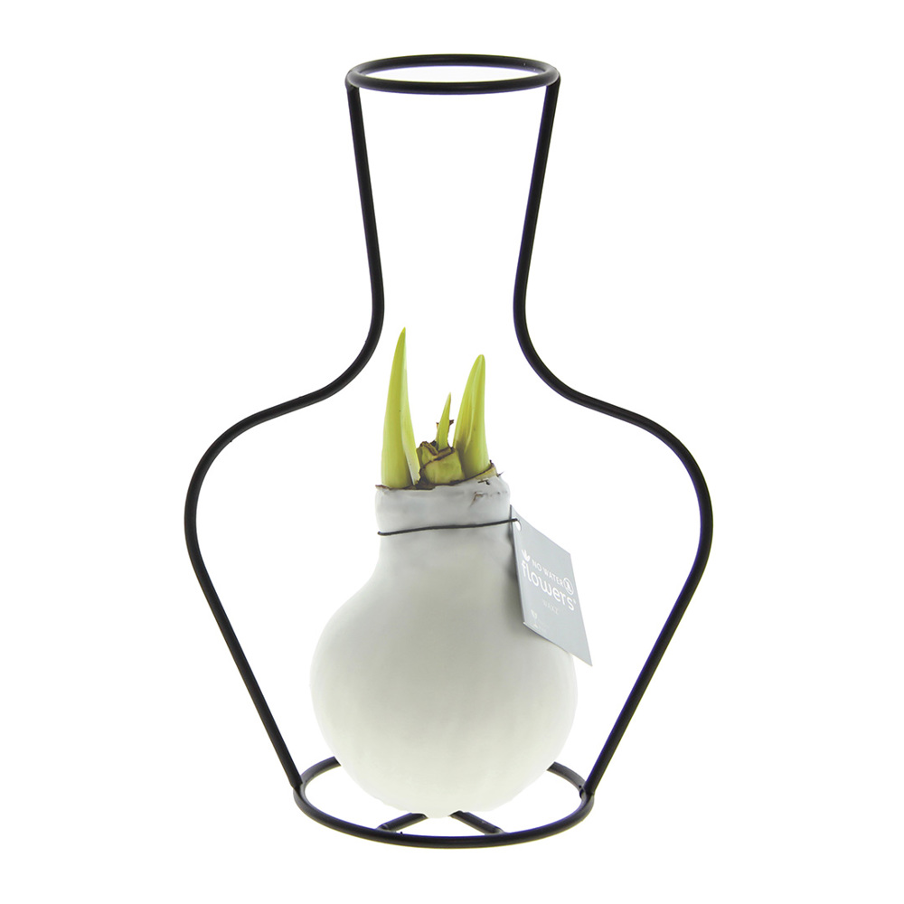 No Water Flowers® - Formz classic - kopen of bedrukken - wit