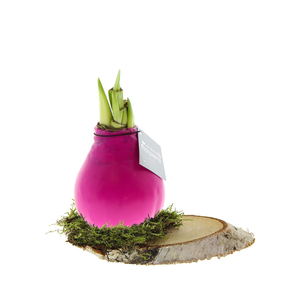 No Water Flowers® - Waxz® on wood - voor bedrijven en relatiegeschenken - roze