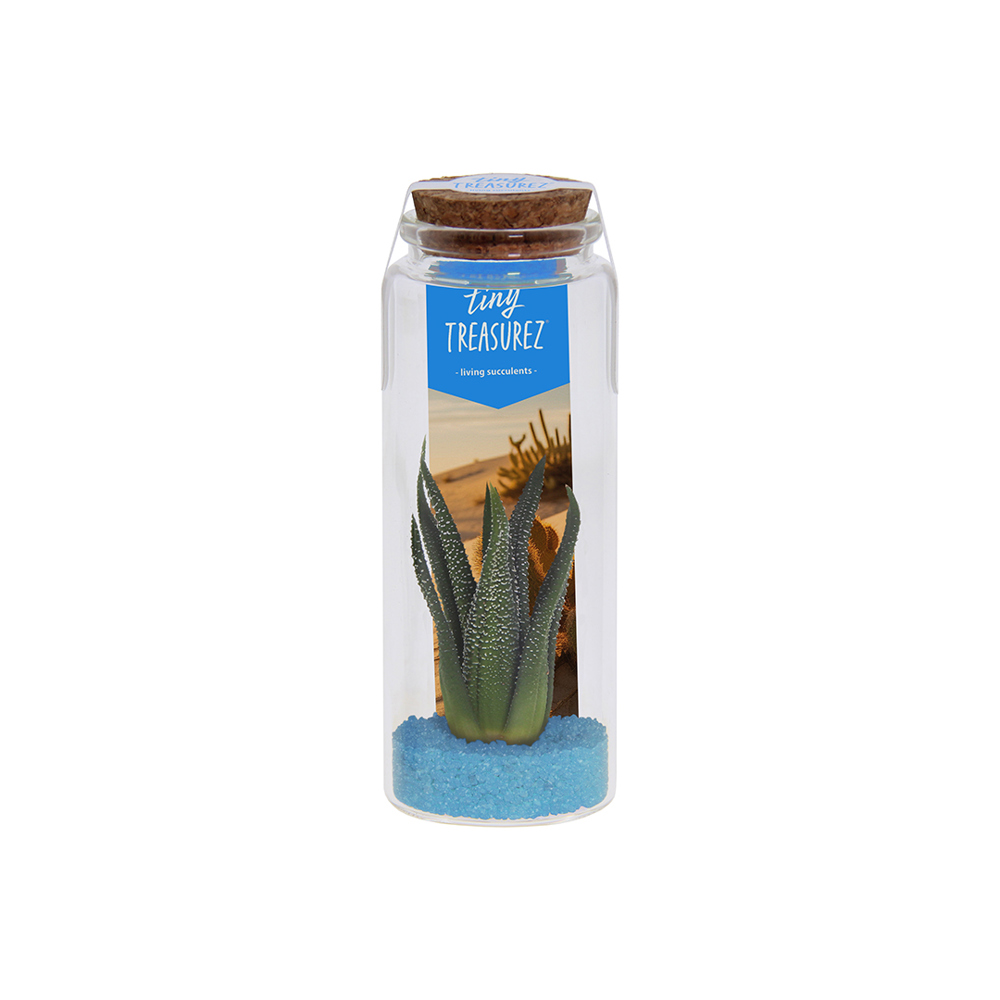 Tiny Treasurez® - Message in a bottle large - voor bedrijven en relatiegeschenken - licht blauw