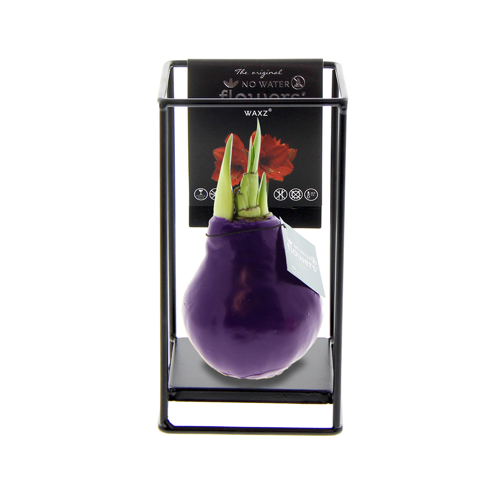 No Water Flowers® - Formz industrial - kopen of bedrukken - paars