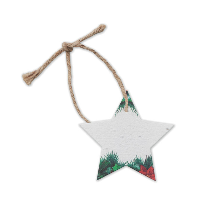 STARSEED - Zaadpapier kerstornament