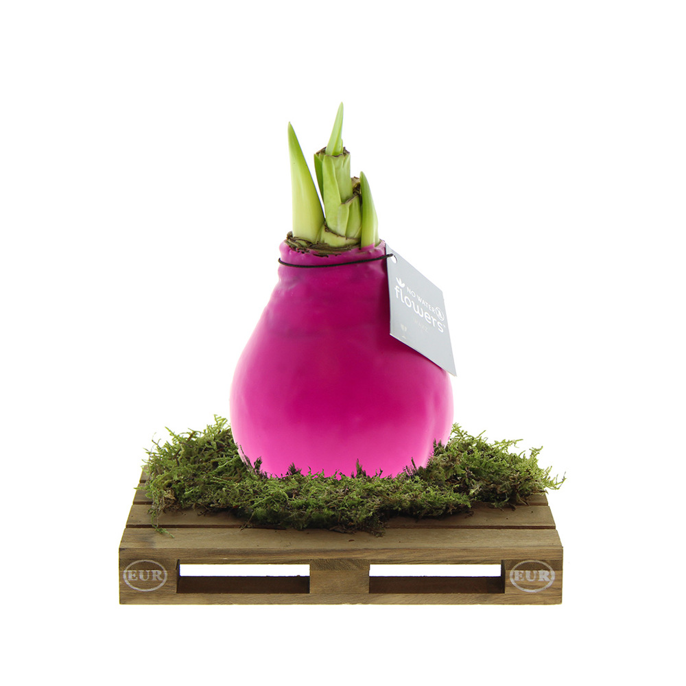 No Water Flowers® - Waxz® on pallet - met logo of onbedrukt bestellen - roze