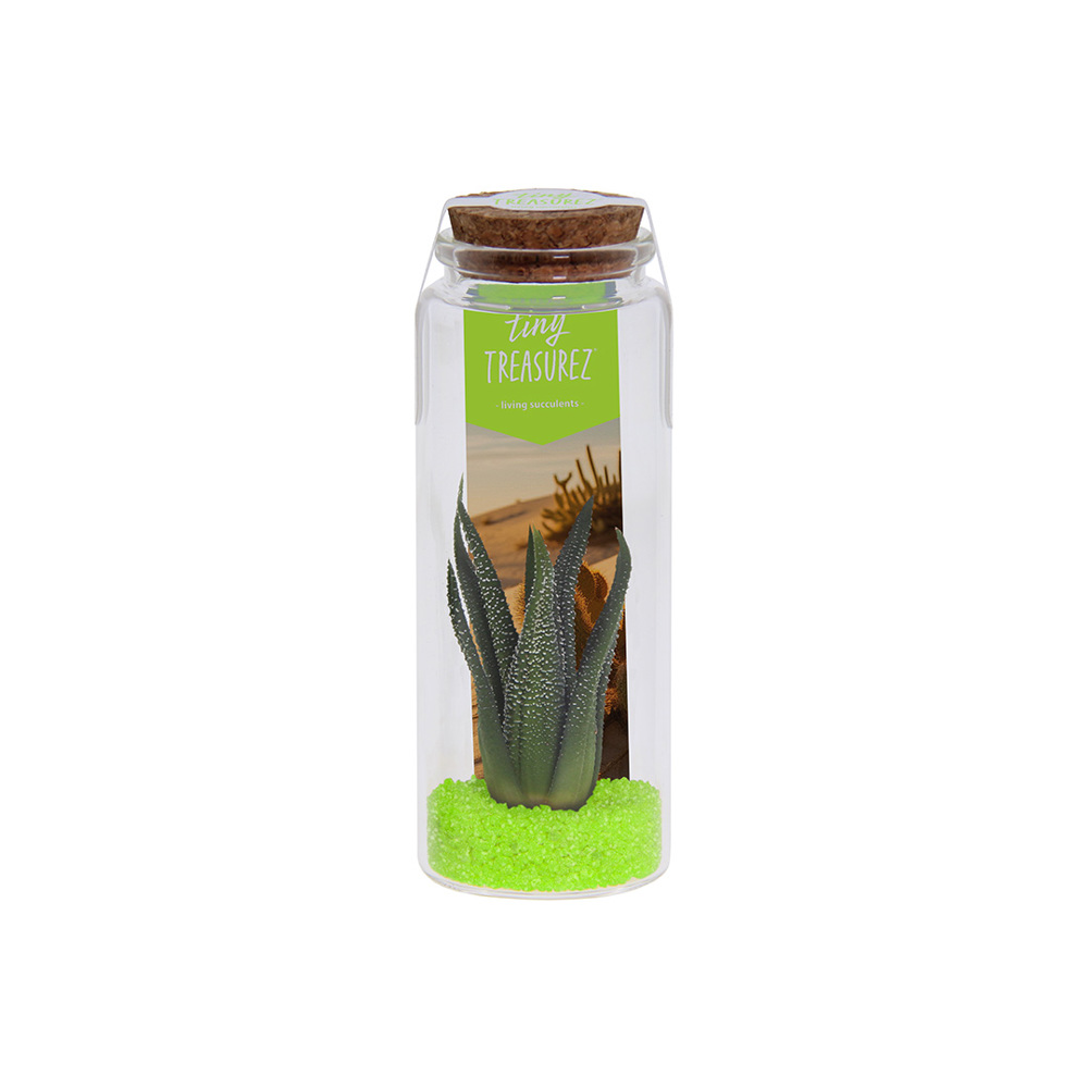 Tiny Treasurez® - Message in a bottle large - voor bedrijven en relatiegeschenken - groen