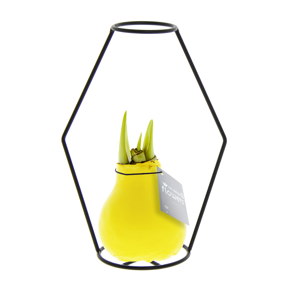 No Water Flowers® - Formz modern - kopen of bedrukken - geel