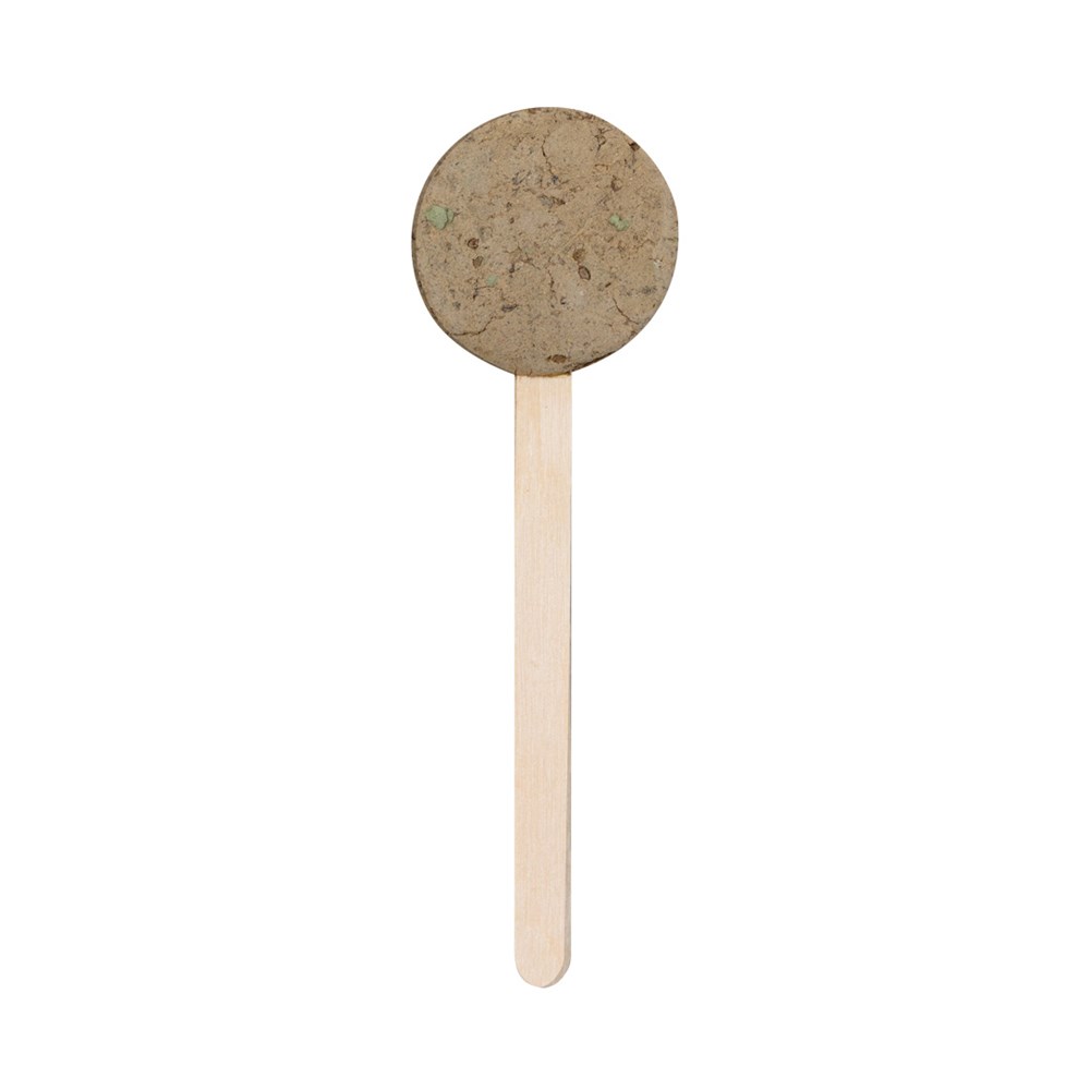Zaad-Lolly Zaden Ebeldy
